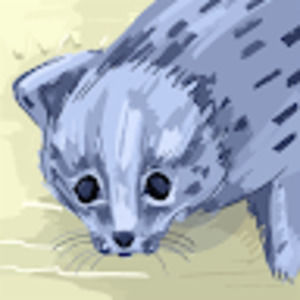 Meet your Posher, Cara